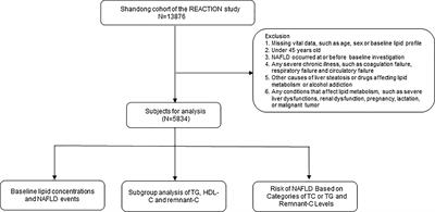 Remnant cholesterol, stronger than triglycerides, is associated with incident non-alcoholic fatty liver disease
